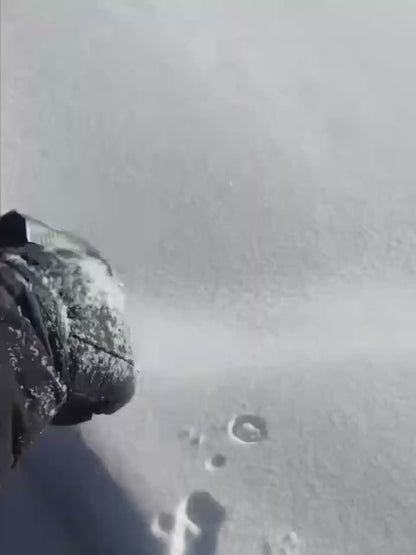 Dual-Purpose High-Speed Brushless Blower